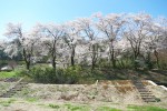 soraネット写真 (6)